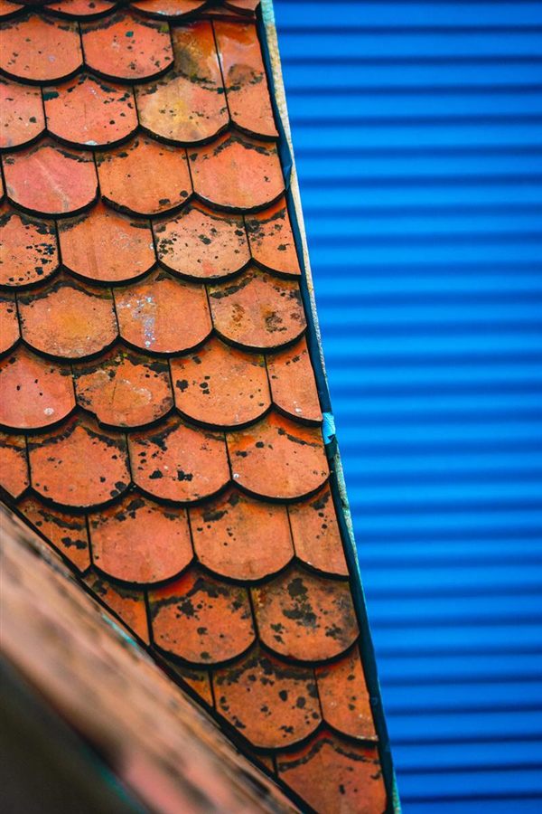 Alte Dachziegel vor dem blauen Stalltor