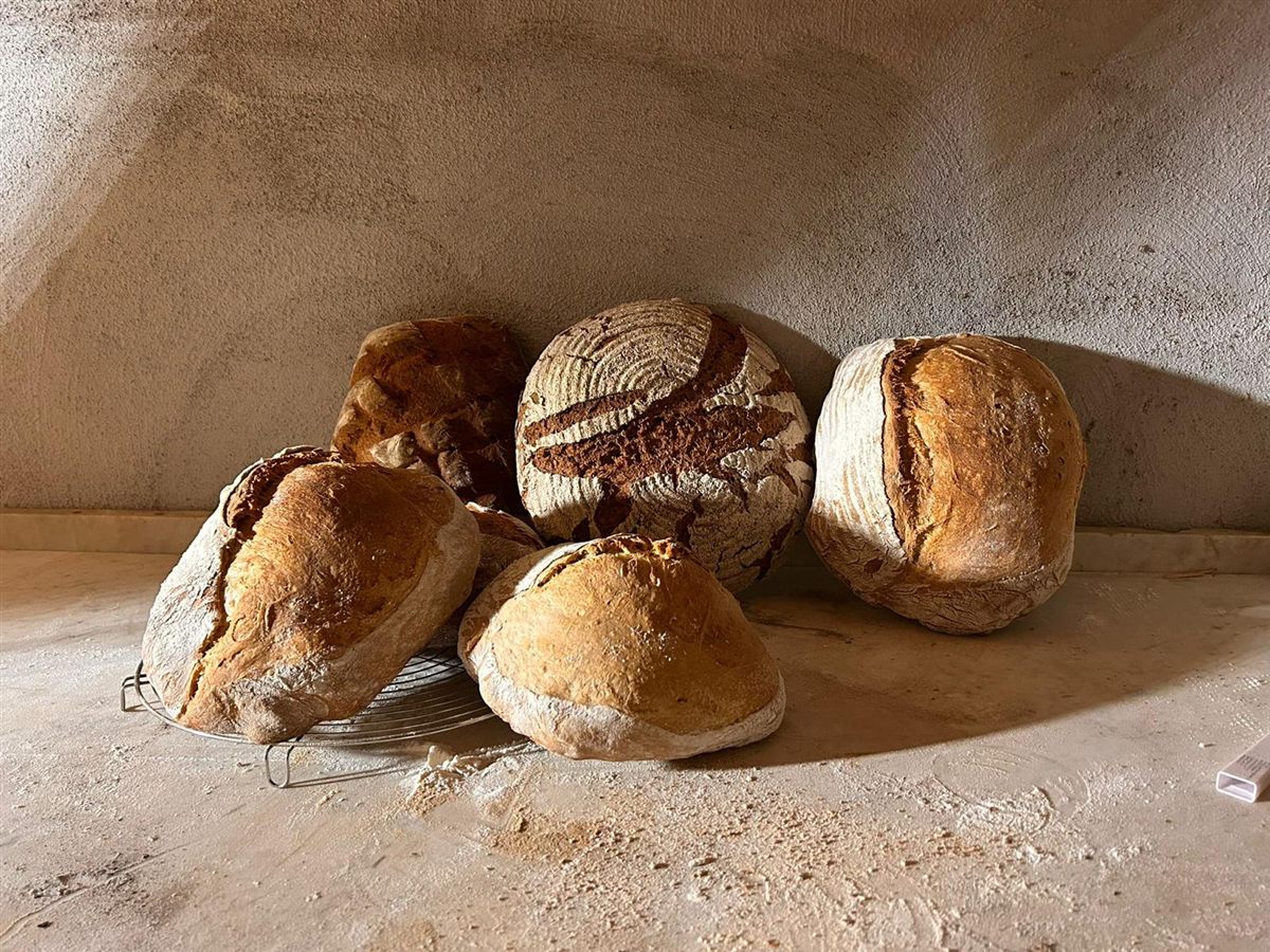 Brotlaibe
